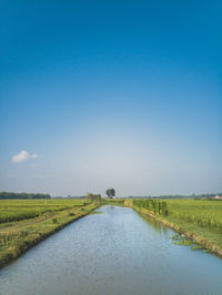 Scenic view of canal amidst field against clear blue sky