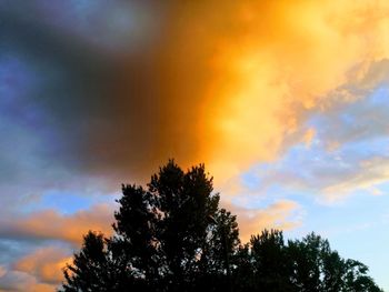 Low angle view of silhouette trees against sky at sunset