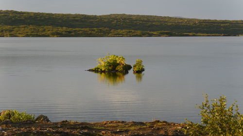 Scenic view of lake with little island against sky