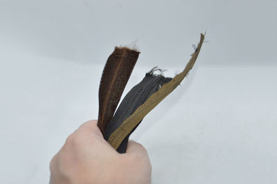 Close-up of hand holding leaf against white background