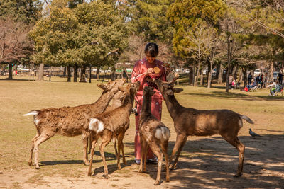 Full length of man with horses standing by tree