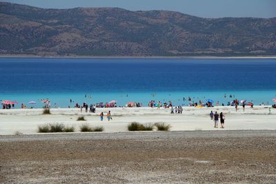 Group of people on beach