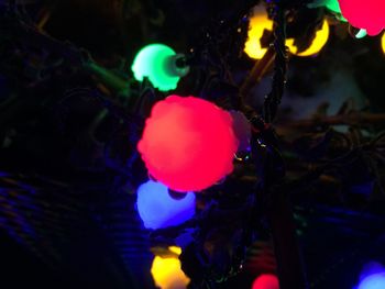 Close-up of illuminated lighting equipment hanging on tree