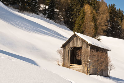 House on snow covered land by trees and building