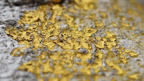 Full frame shot of wood