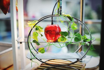 Close-up of strawberry hanging on glass