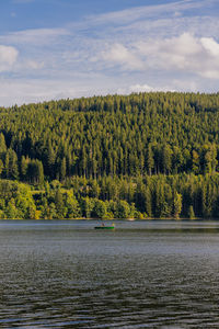 Scenic view of lake in forest against sky