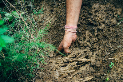 Hand of person holding mud in farm