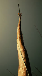 Low angle view of windmill