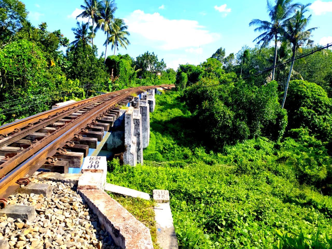 RAILROAD TRACKS AMIDST PLANTS AGAINST SKY