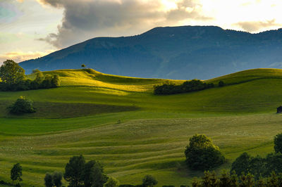 Scenic view of landscape and mountains against sky