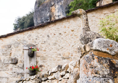 Low angle view of stone wall