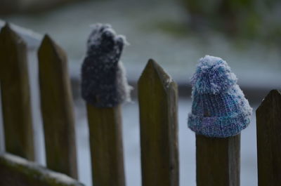 Close-up of knit hats on picket fence