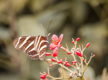 beauty in nature