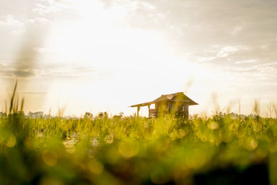 Built structure on field against sky