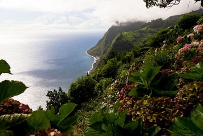 Scenic view of sea against sky