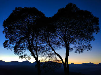 Silhouette tree against sky during sunset