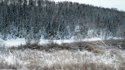 Scenic view of snow covered land