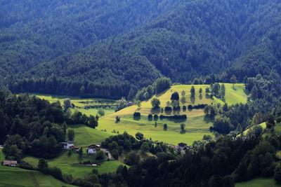 High angle view of houses on field