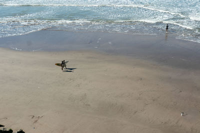 Seagulls on beach