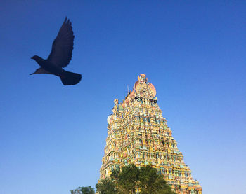 Low angle view of a bird flying against clear blue sky