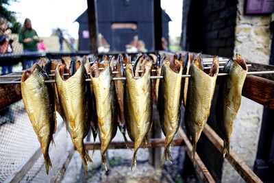 Close-up of fish for sale at market