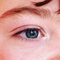 Close-up portrait of human eye