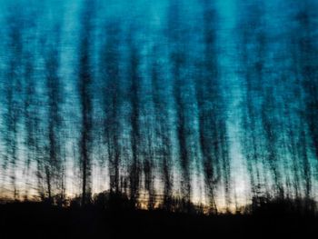 Silhouette trees in forest against sky at night