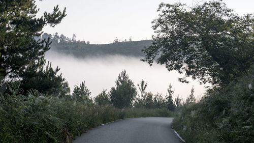 Road amidst trees against clear sky