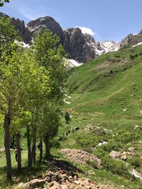 Scenic view of trees and mountains against sky