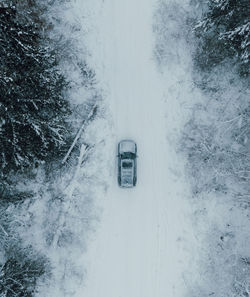 Car in a winter forrest from above