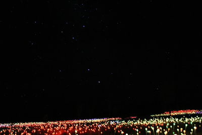 Illuminated star field against sky at night