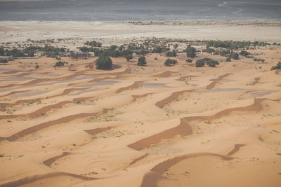 Scenic view of sand dunes in desert against sky