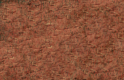 Full frame shot of weathered wall