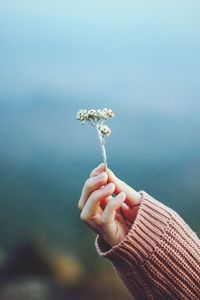 Close-up of woman hand holding flower outdoors