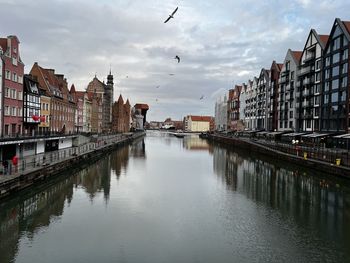 Reflection of buildings in water