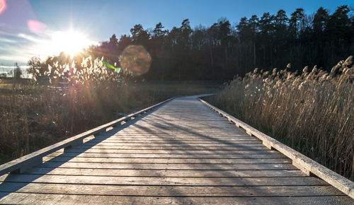 Boardwalk amidst trees against sky