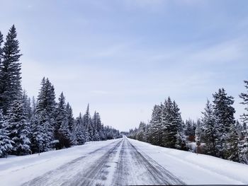 Road amidst trees against sky during winter