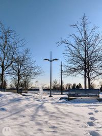 Bare trees on snow covered field against  a blue sky