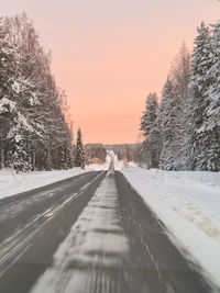 Road amidst bare trees