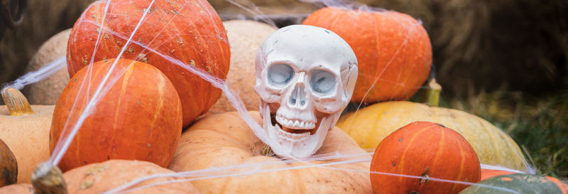 Close-up of pumpkin and pumpkins