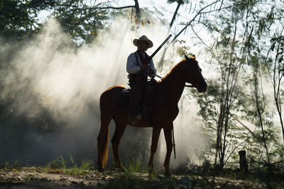 Man sitting on horse in forest amidst smoke