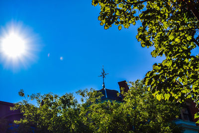 Low angle view of trees and building against blue sky