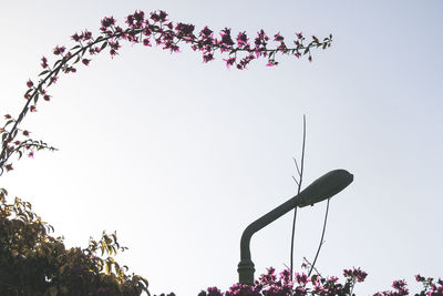 Low angle view of weather vane against clear sky