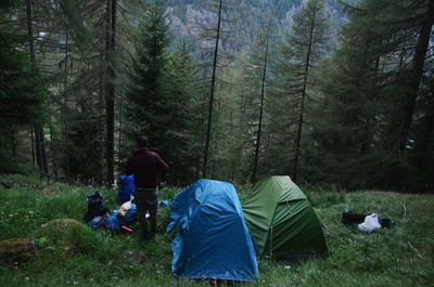 Rear view of men in forest