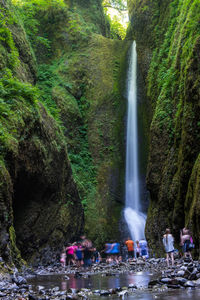 Scenic view of waterfall in forest