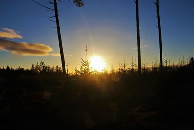 Silhouette trees in forest against sky during sunset