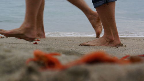 Low section of man on beach