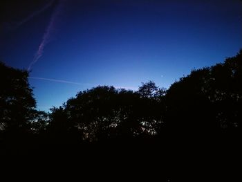 Low angle view of silhouette trees against blue sky