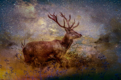 Digital composite image of deer standing against sky